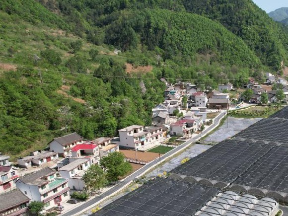 柞水县小岭镇金米村乡村振兴产业规划