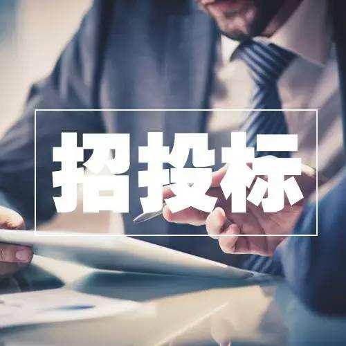 招标文件中存在的常见问题及改进措施有哪些？
